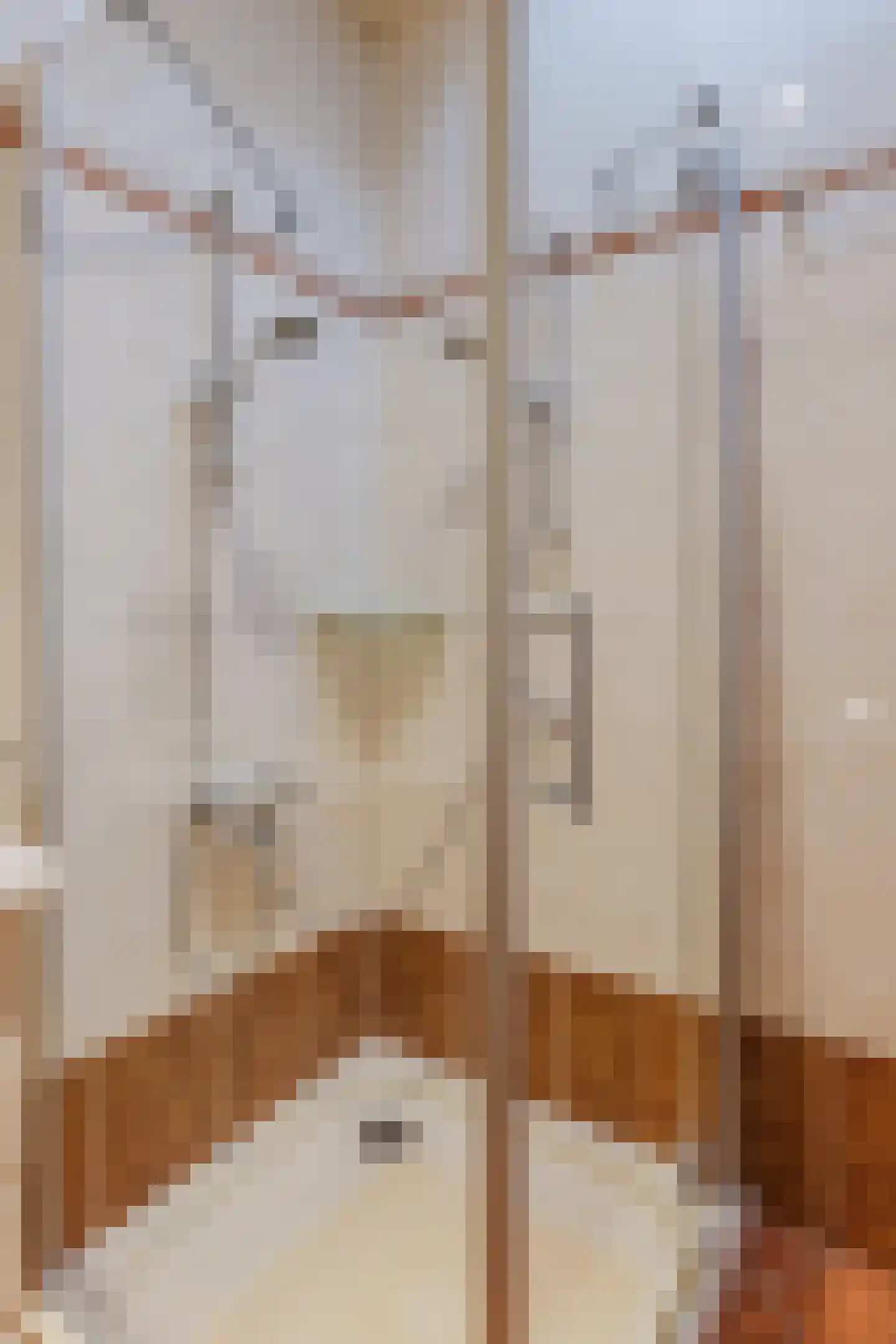 Laurent Rampartstraat 15 Halsteren thumbnail 48
