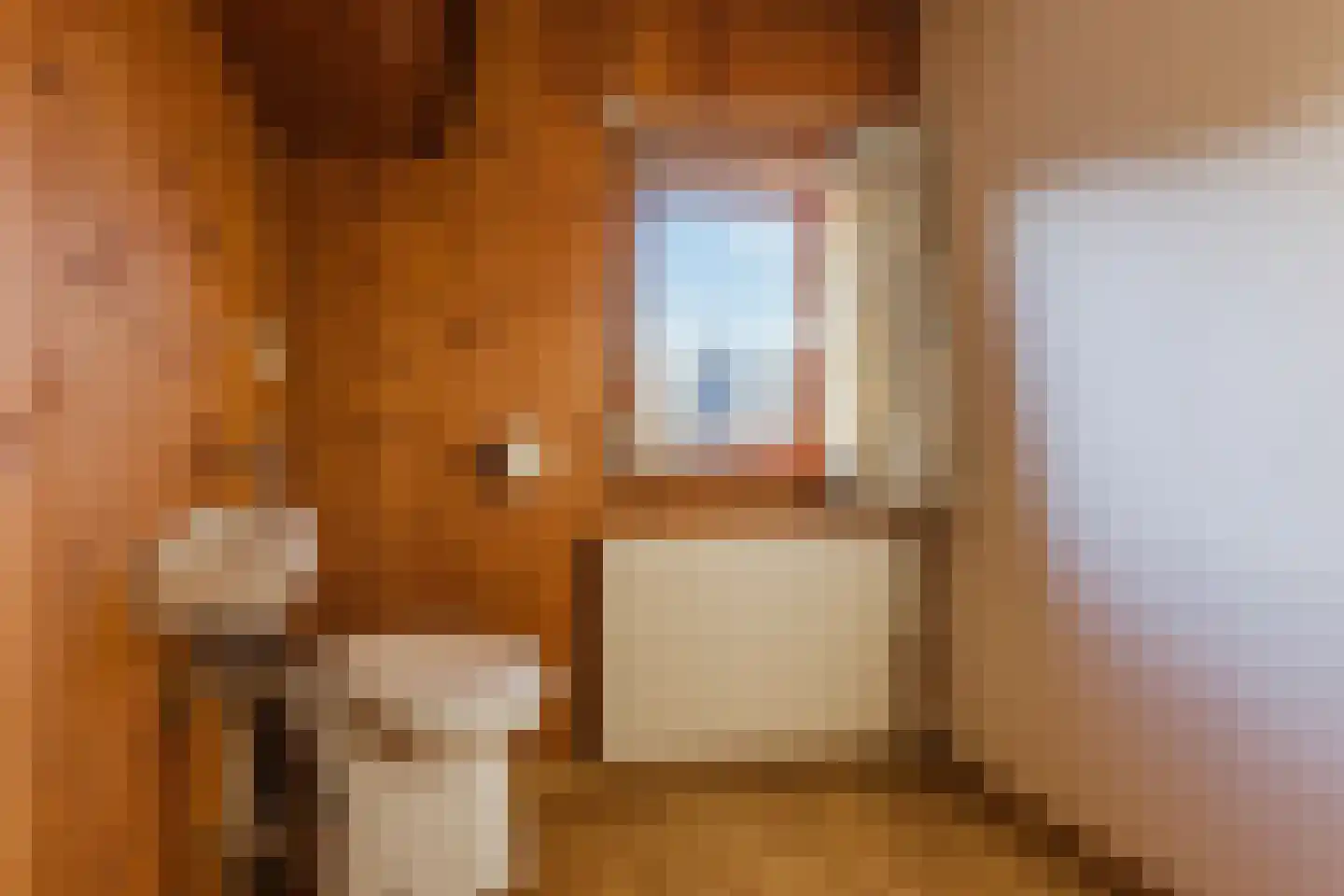 Laurent Rampartstraat 15 Halsteren thumbnail 51