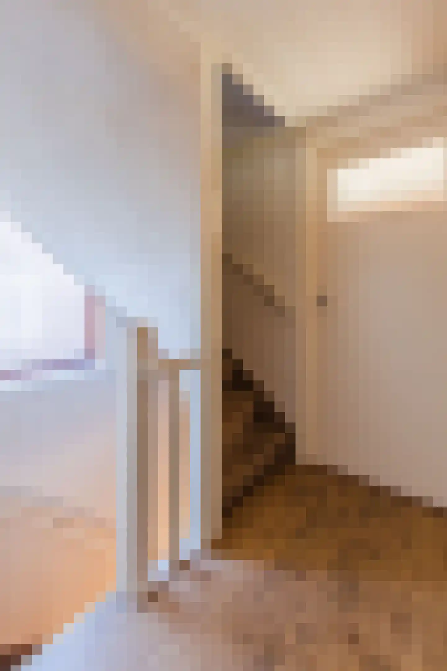Laurent Rampartstraat 15 Halsteren thumbnail 55