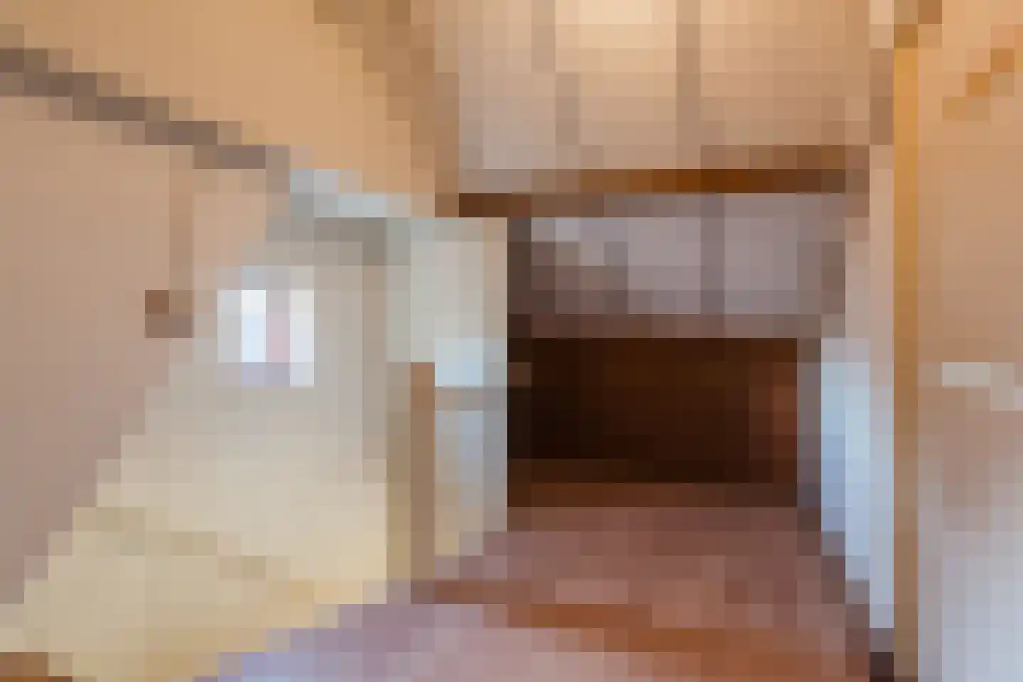 Laurent Rampartstraat 15 Halsteren thumbnail 58