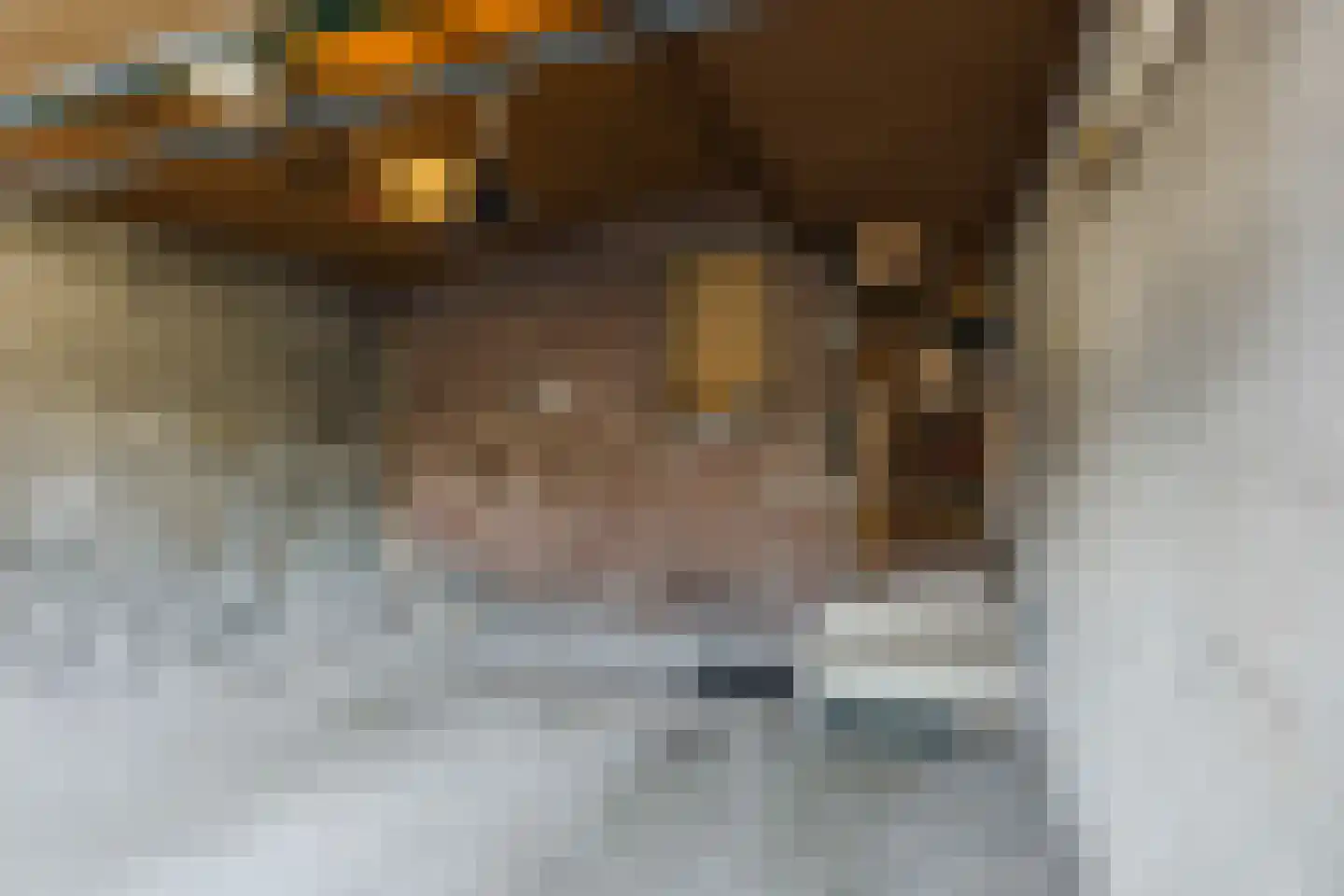 Laurent Rampartstraat 15 Halsteren thumbnail 64
