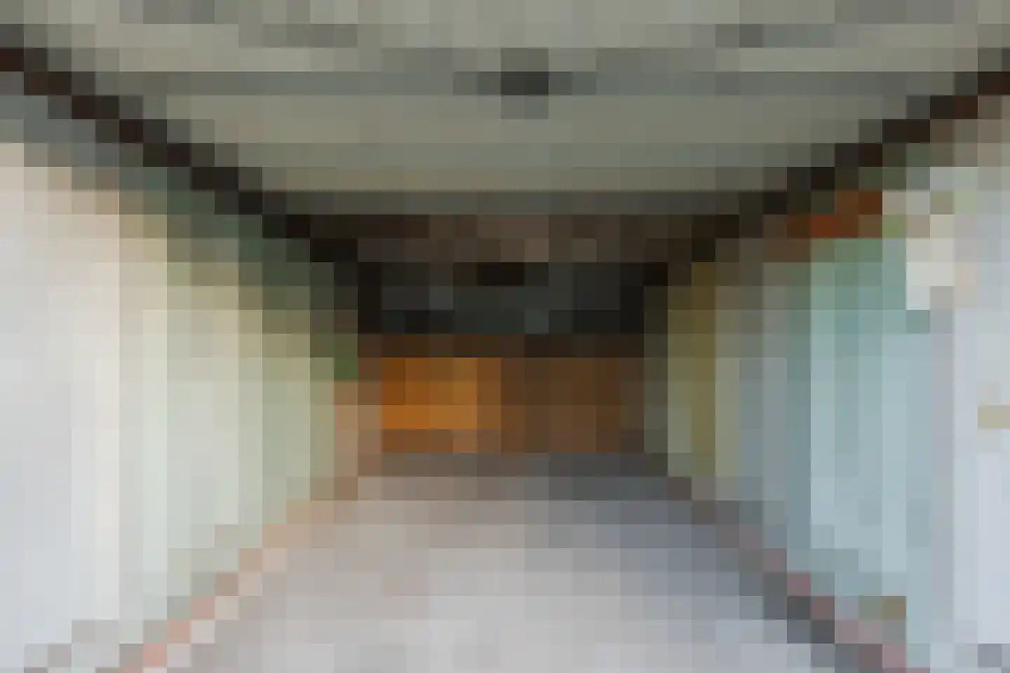 Laurent Rampartstraat 15 Halsteren thumbnail 67