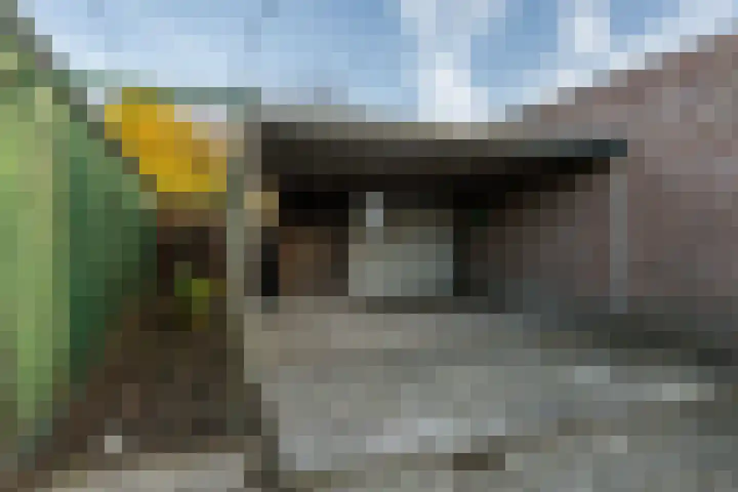 Laurent Rampartstraat 15 Halsteren thumbnail 76