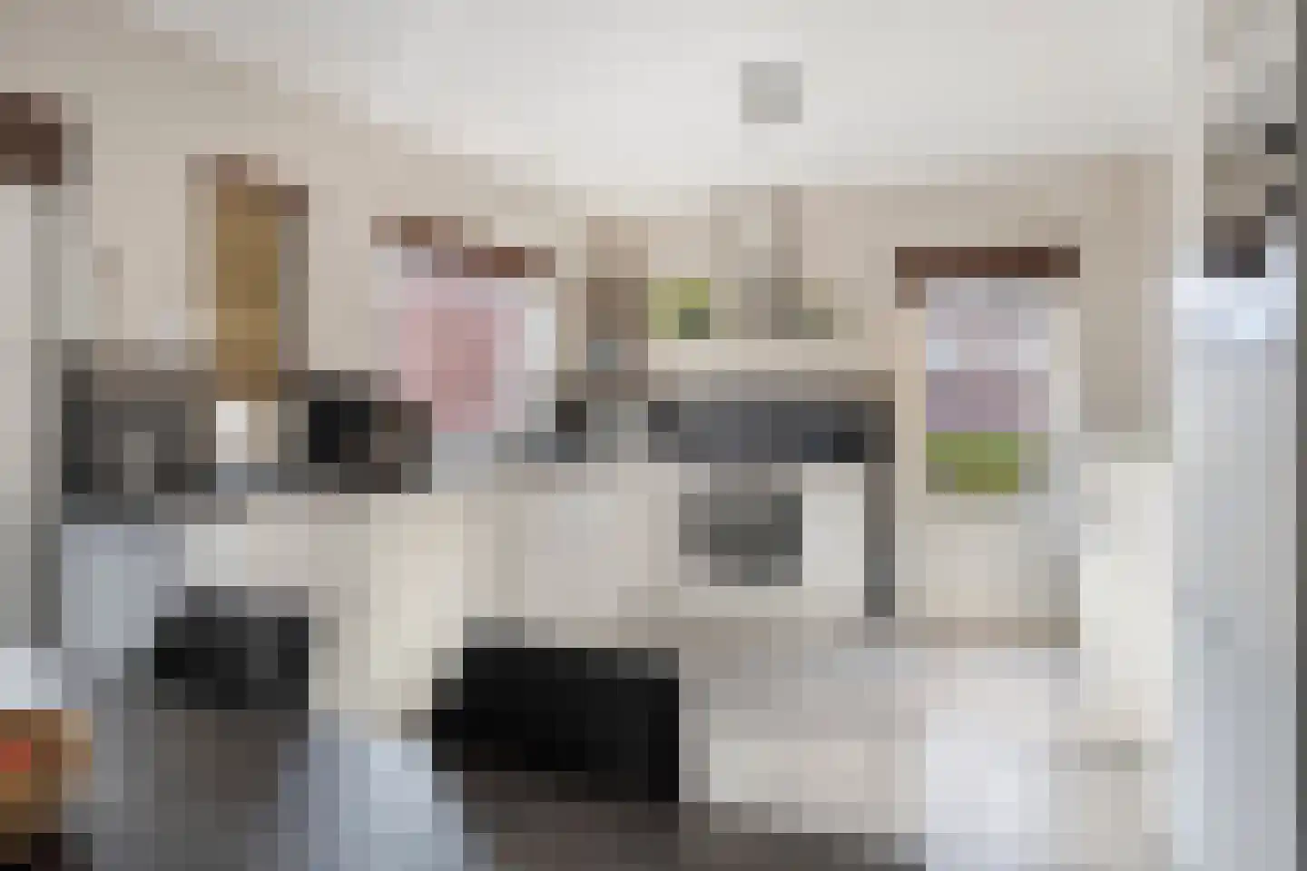 Laurent Rampartstraat 30 Halsteren thumbnail 17