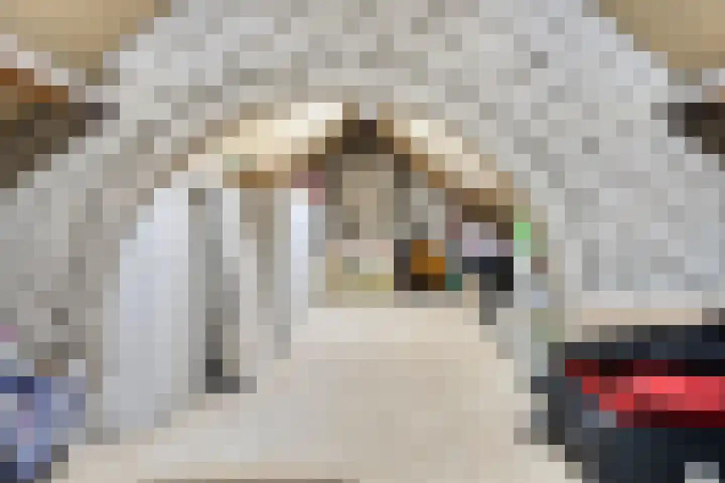 Laurent Rampartstraat 30 Halsteren thumbnail 32