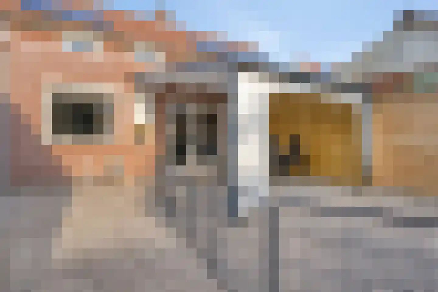 Laurent Rampartstraat 30 Halsteren thumbnail 37