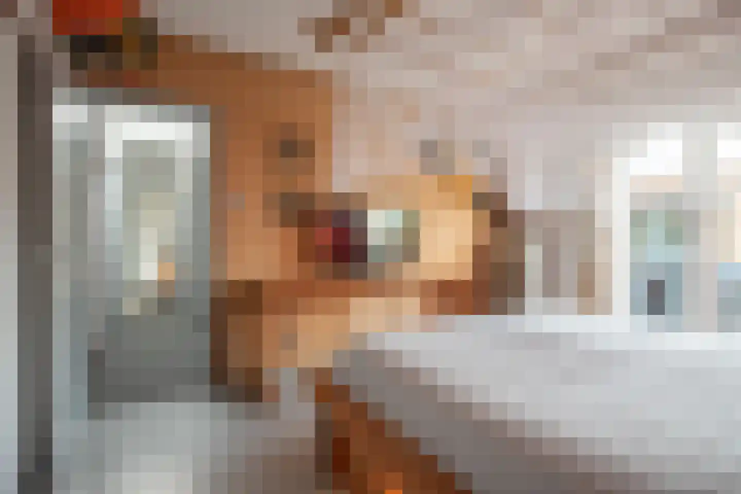 Laurenthof 2 Simpelveld thumbnail 13