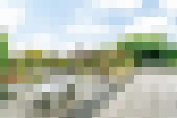 Laurenthof 8 Simpelveld thumbnail 29
