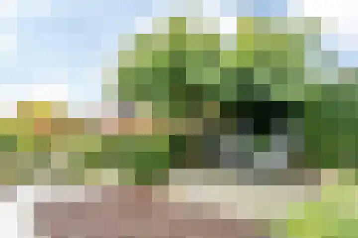 Laurenthof 8 Simpelveld thumbnail 31