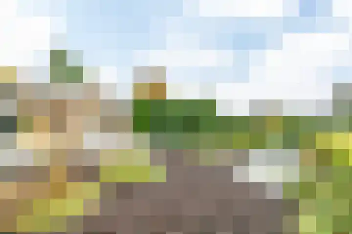 Laurenthof 8 Simpelveld thumbnail 32