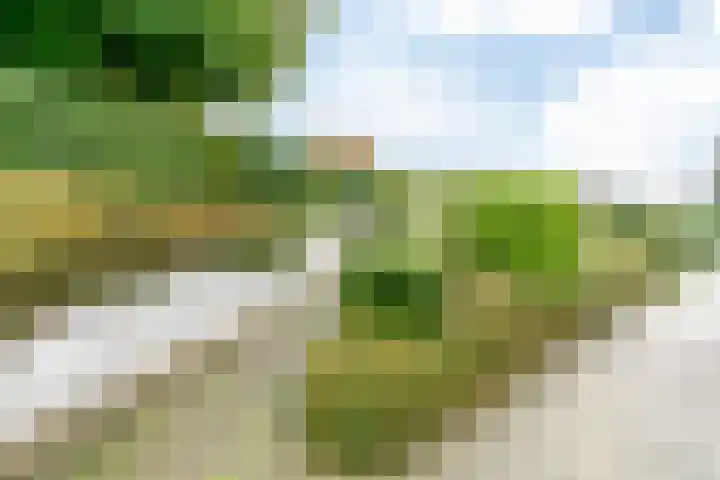 Laurenthof 8 Simpelveld thumbnail 36