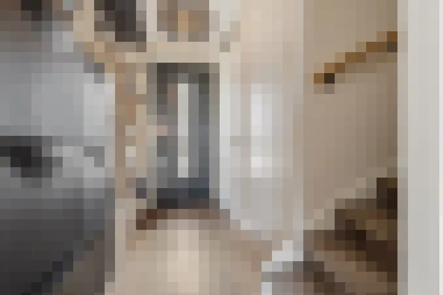 Laurentiden 13 Assendelft thumbnail 17