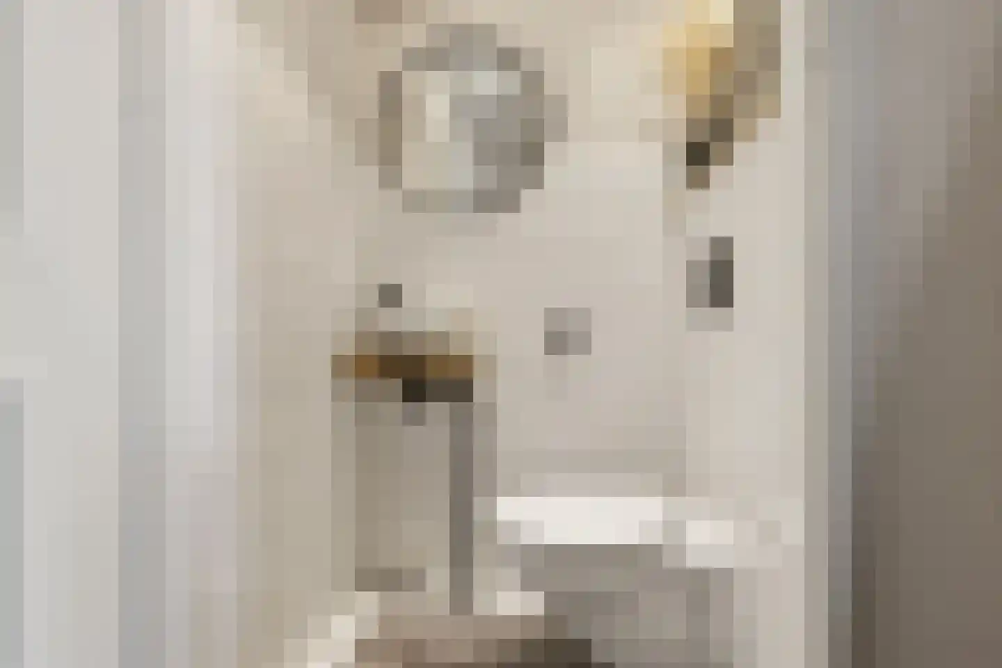 Laurentiden 13 Assendelft thumbnail 18