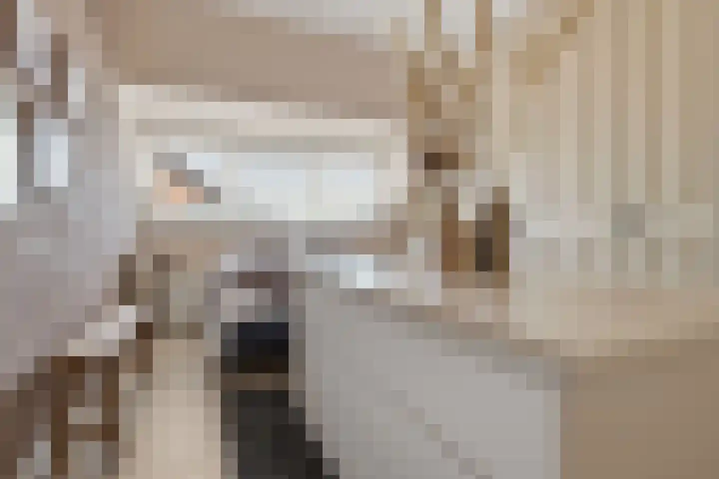 Laurentiden 13 Assendelft thumbnail 20