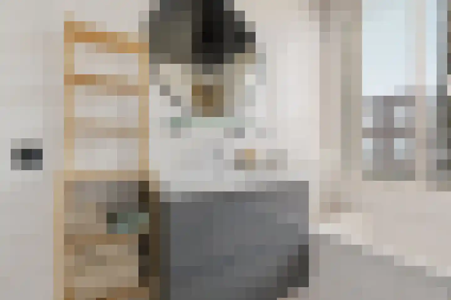 Laurentiden 13 Assendelft thumbnail 27