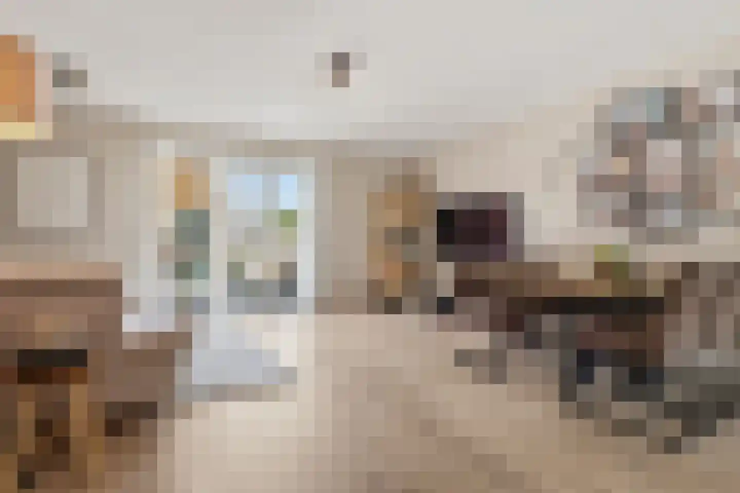 Laurentiden 13 Assendelft thumbnail 4