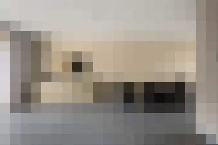 Laurentiden 14 Assendelft thumbnail 10