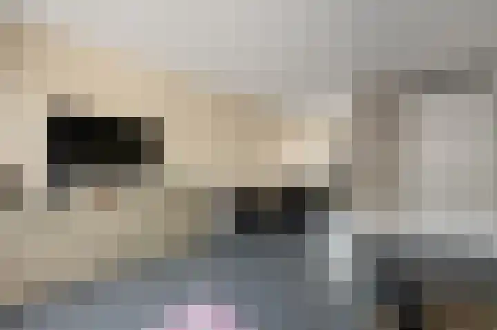 Laurentiden 14 Assendelft thumbnail 11