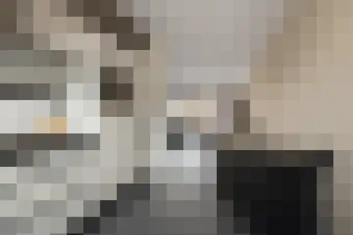 Laurentiden 14 Assendelft thumbnail 12