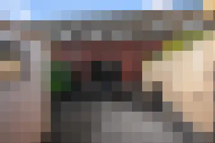 Laurentiden 14 Assendelft thumbnail 17