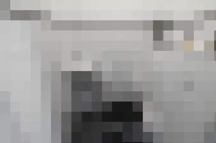 Laurentiden 14 Assendelft thumbnail 18