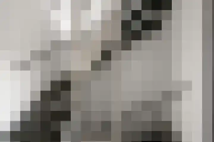 Laurentiden 14 Assendelft thumbnail 19
