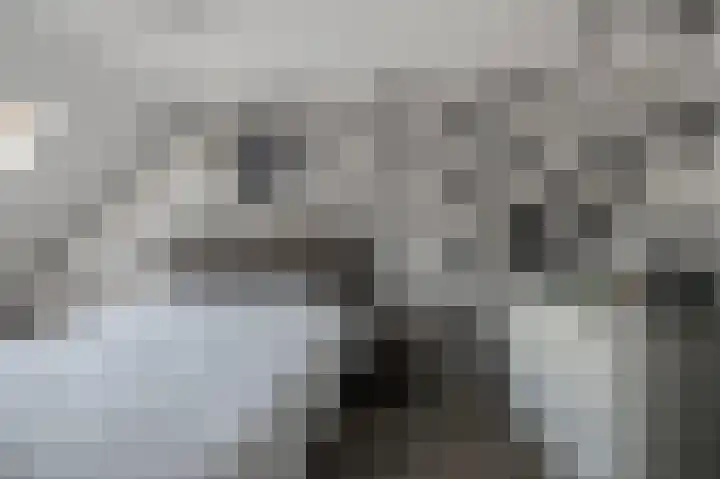Laurentiden 14 Assendelft thumbnail 20