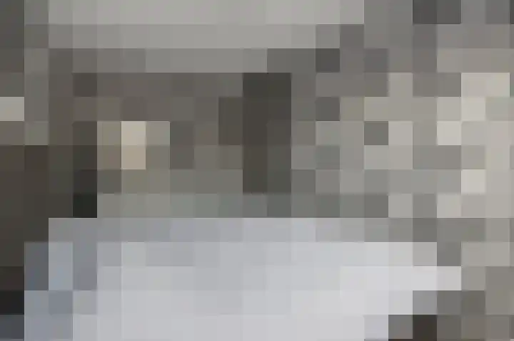 Laurentiden 14 Assendelft thumbnail 22