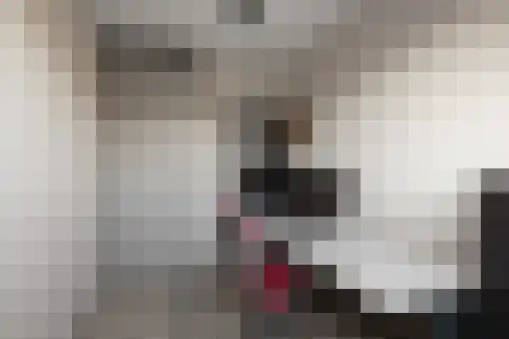 Laurentiden 14 Assendelft thumbnail 23