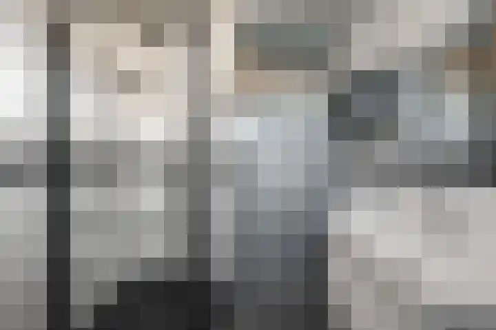 Laurentiden 14 Assendelft thumbnail 25