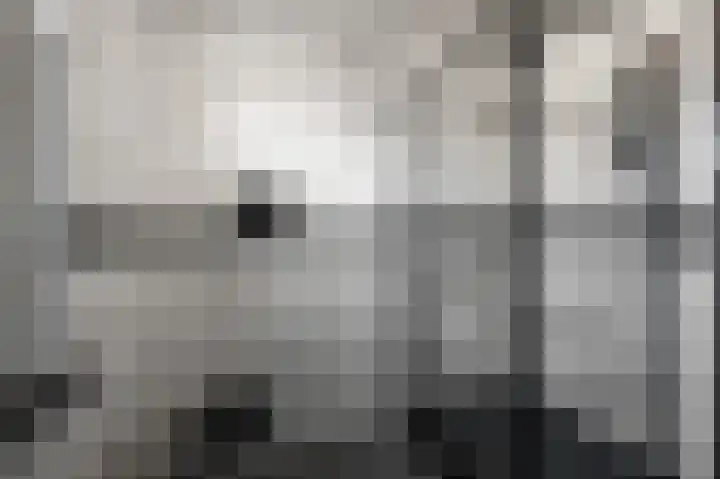 Laurentiden 14 Assendelft thumbnail 26