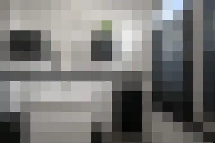 Laurentiden 14 Assendelft thumbnail 27