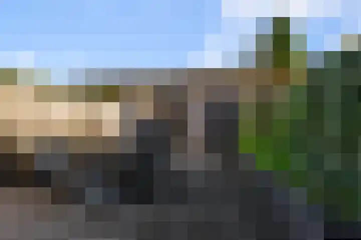 Laurentiden 14 Assendelft thumbnail 4