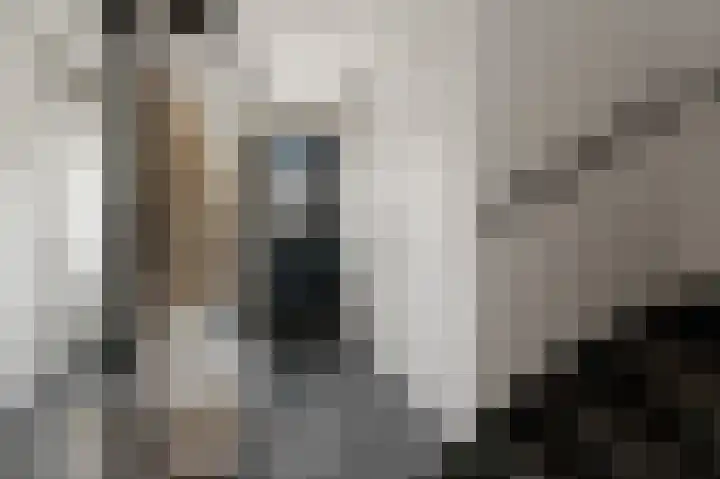 Laurentiden 14 Assendelft thumbnail 6
