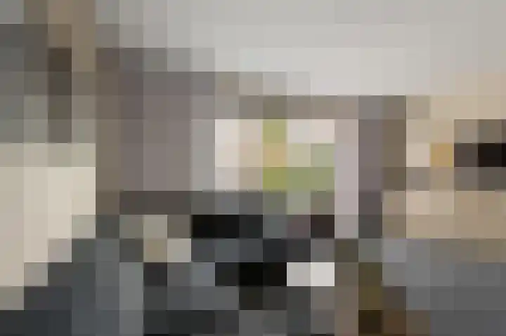 Laurentiden 14 Assendelft thumbnail 9