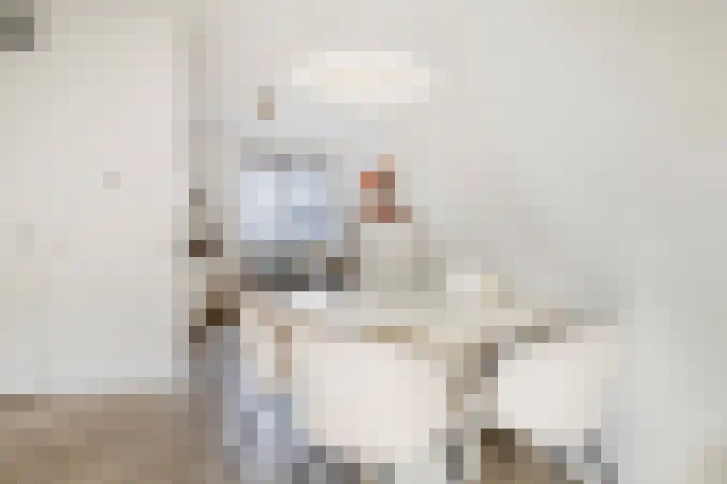 Laurentiden 20 Assendelft thumbnail 10