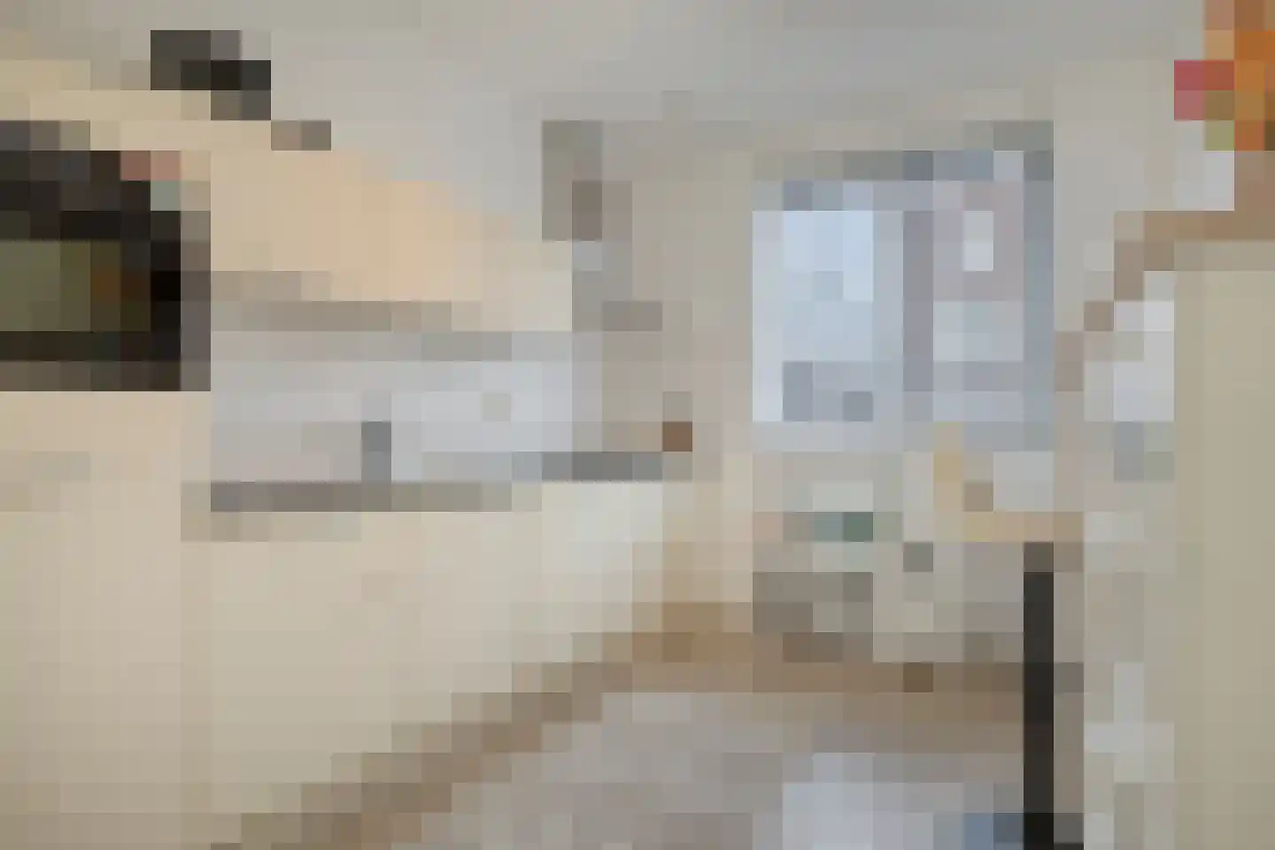 Laurentiden 20 Assendelft thumbnail 11
