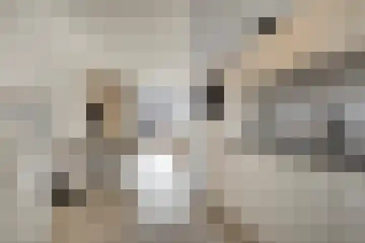 Laurentiden 20 Assendelft thumbnail 12