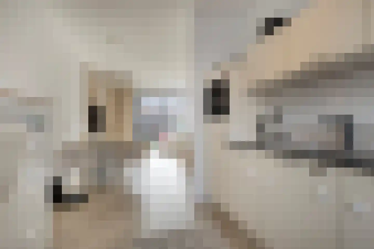 Laurentiden 20 Assendelft thumbnail 12