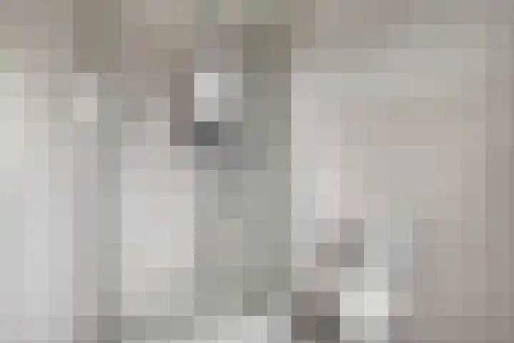 Laurentiden 20 Assendelft thumbnail 18
