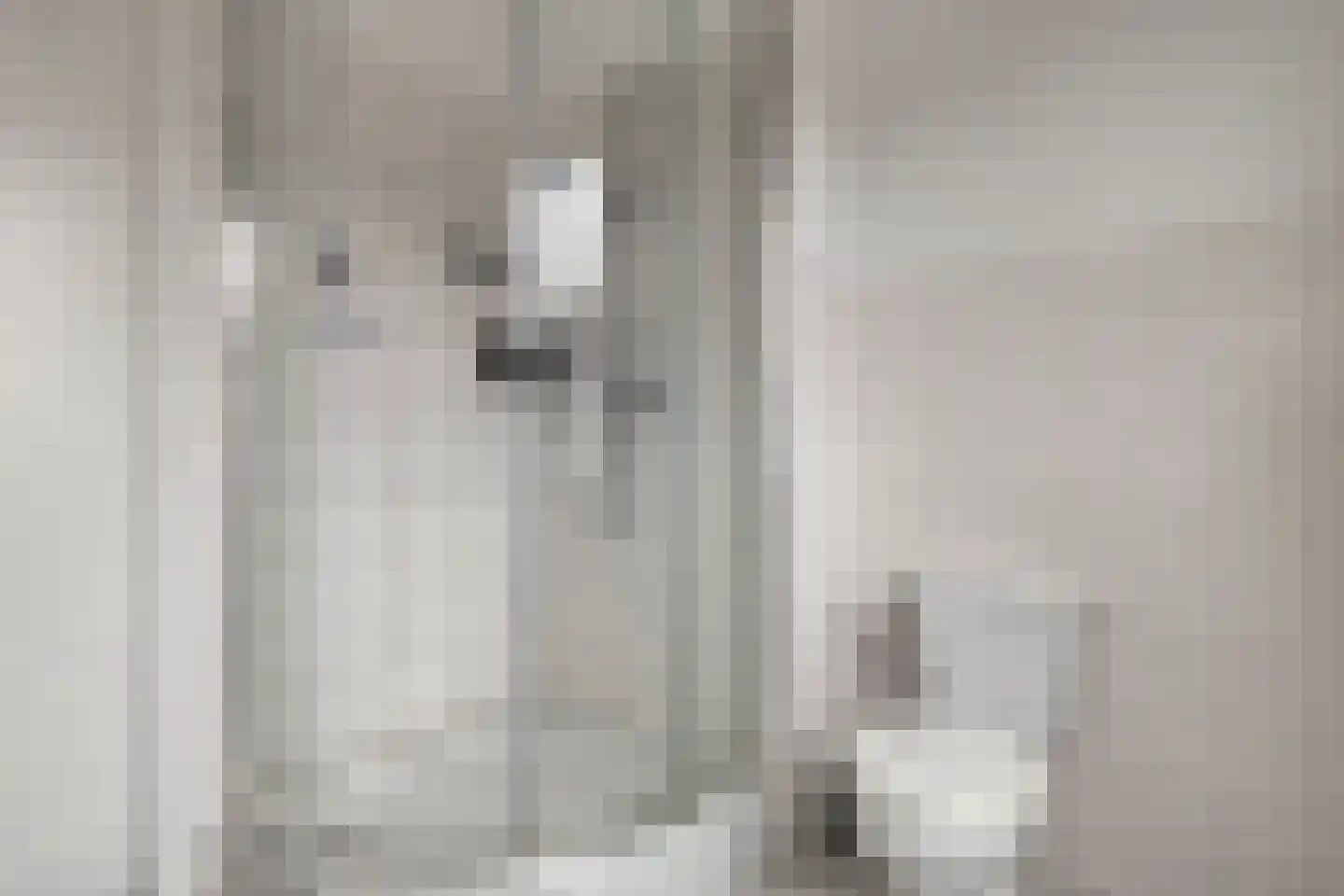 Laurentiden 20 Assendelft thumbnail 18