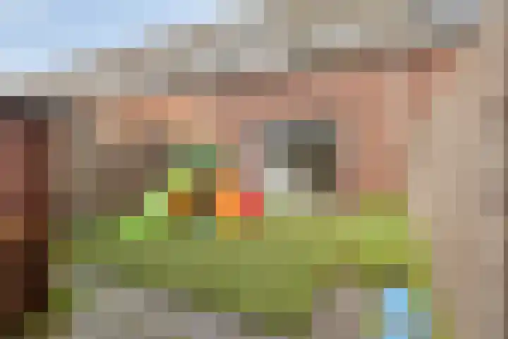 Laurentiden 20 Assendelft thumbnail 21
