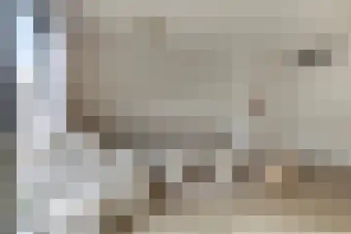 Laurentiden 20 Assendelft thumbnail 9
