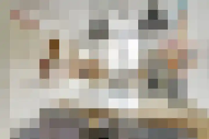 Laurentiden 25 Assendelft thumbnail 18