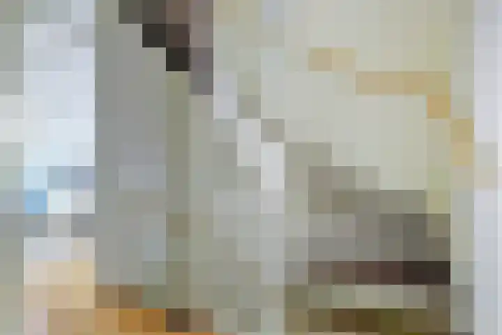 Laurentiden 25 Assendelft thumbnail 21