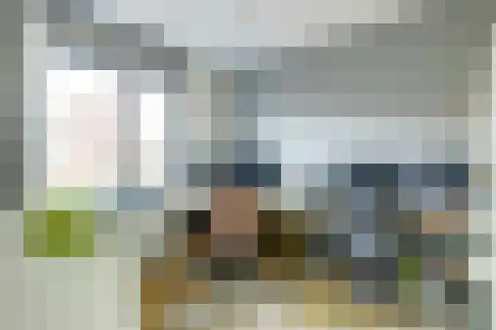 Laurentiden 25 Assendelft thumbnail 26