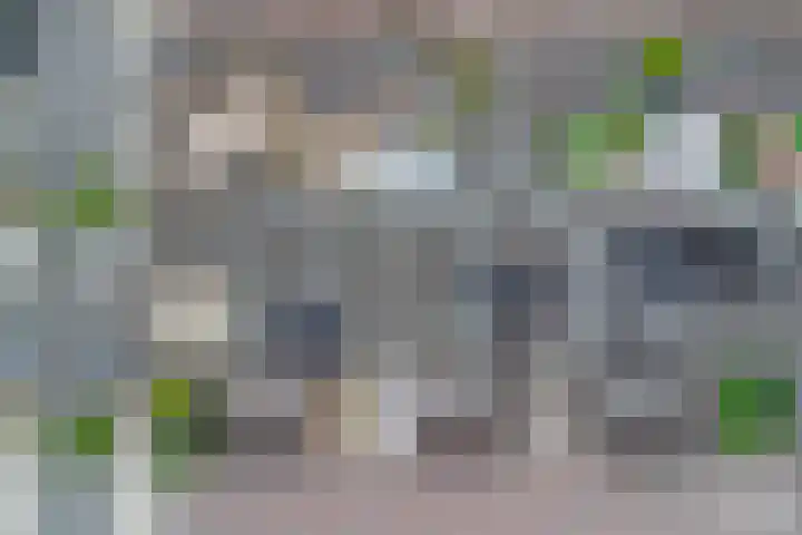 Laurentiden 25 Assendelft thumbnail 42