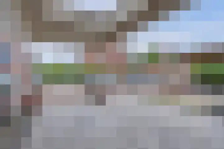 Laurentiden 25 Assendelft thumbnail 7