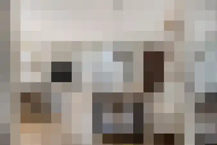 Laurentiden 40 Assendelft thumbnail 10