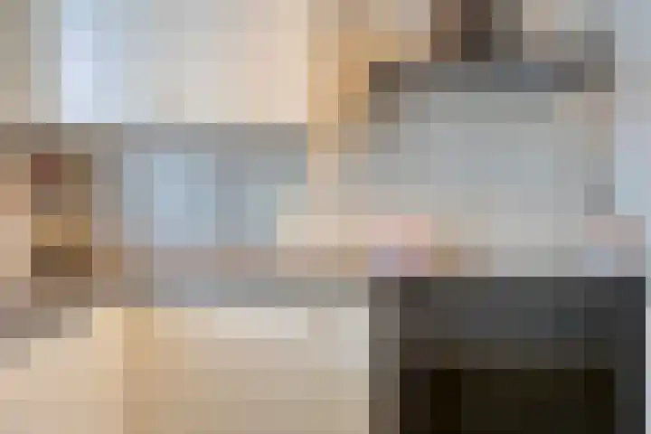 Laurentiden 40 Assendelft thumbnail 13